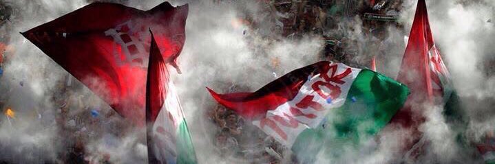 ffcviniciusovic's profile banner image