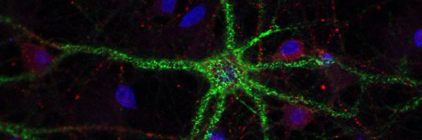 Ash_Goodenough Profile Banner