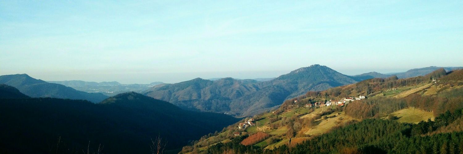 ocalpar7's profile banner image