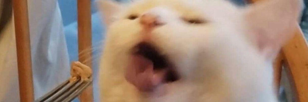 stale corn chip banner