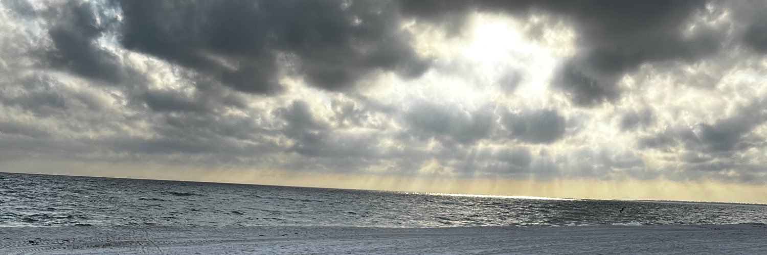 David Williams banner