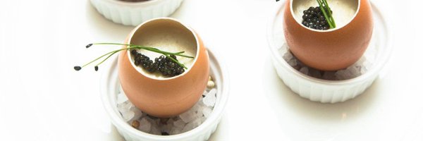 SusanUngaro Profile Banner