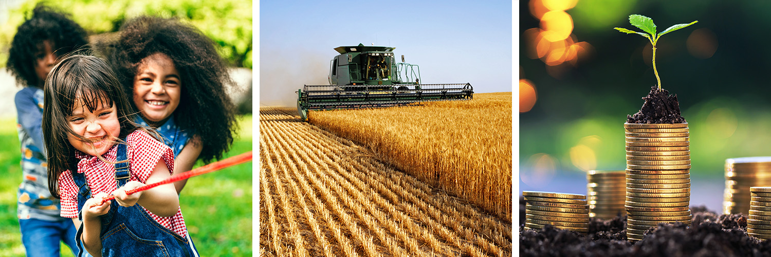 WSU Extension banner