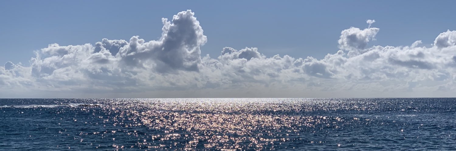 nicholas russell banner