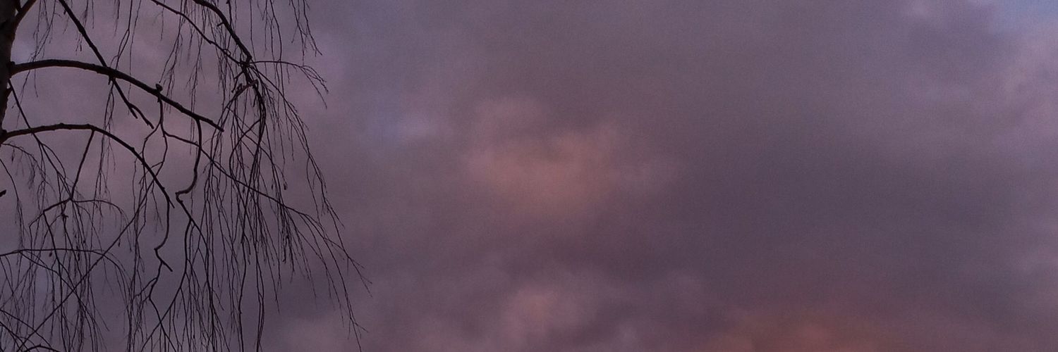 lali22828 banner
