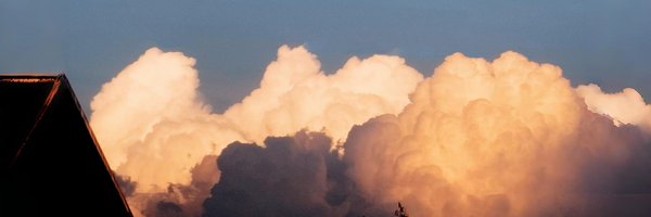 mew_miuX2 Profile Banner