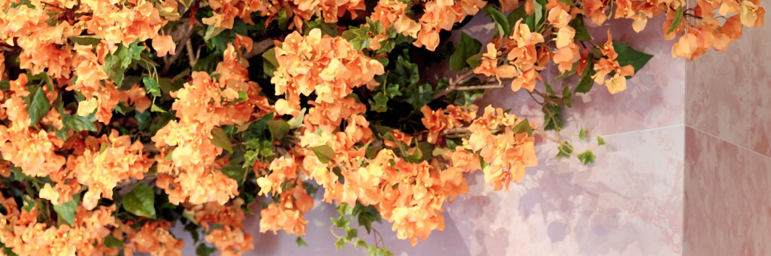 chiyach_i's profile banner image