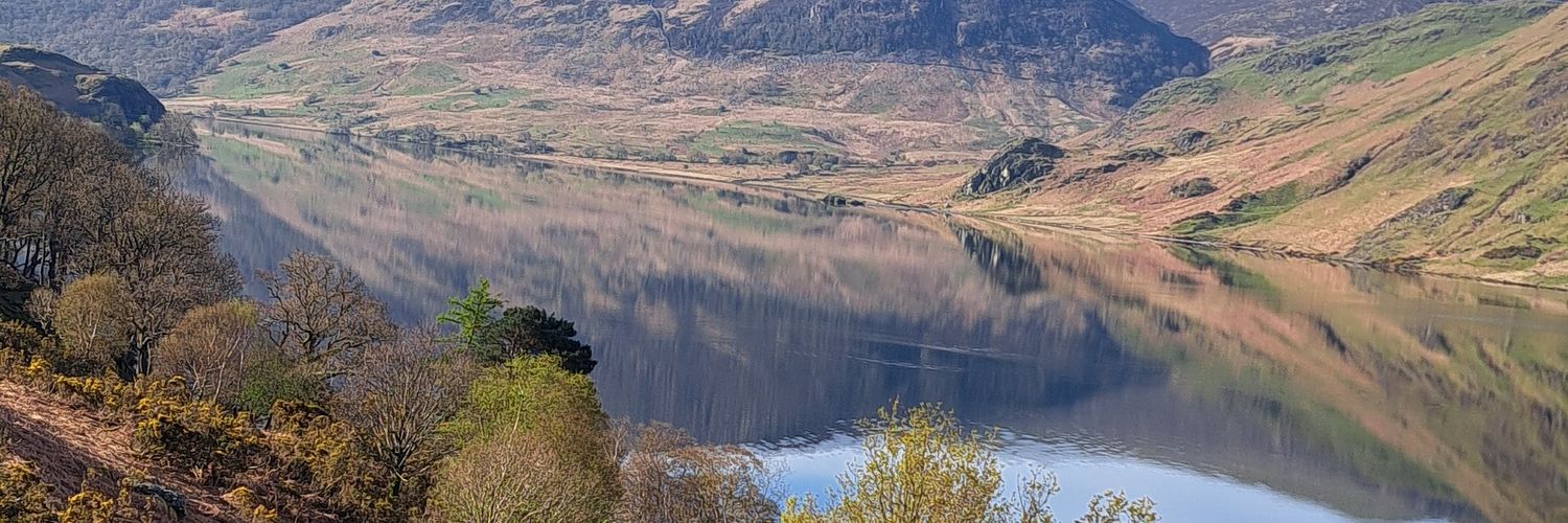 Michael Forster banner