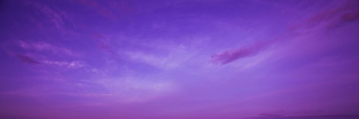 dandelionsrain's profile banner image