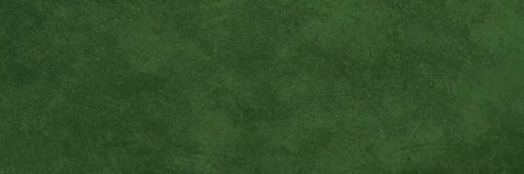 coalhada_'s profile banner image