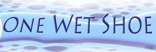 OneWetShoeMedia's profile banner image