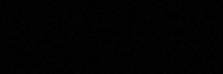 gay of whore moose banner