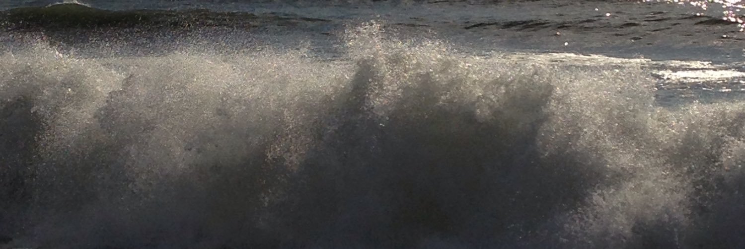 annwmurphy's profile banner image