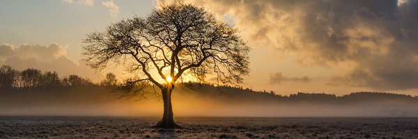 marcfieldsllc Profile Banner