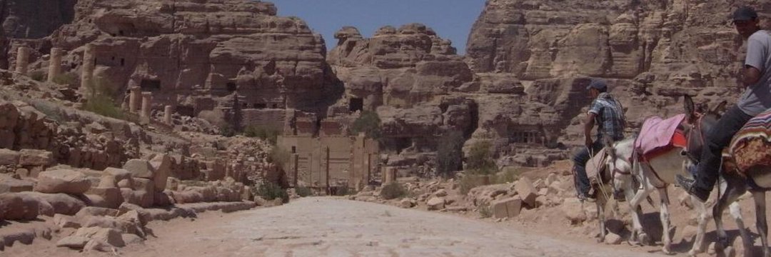 ♚ねおきんぐ📷️🎵🎸📚️ banner