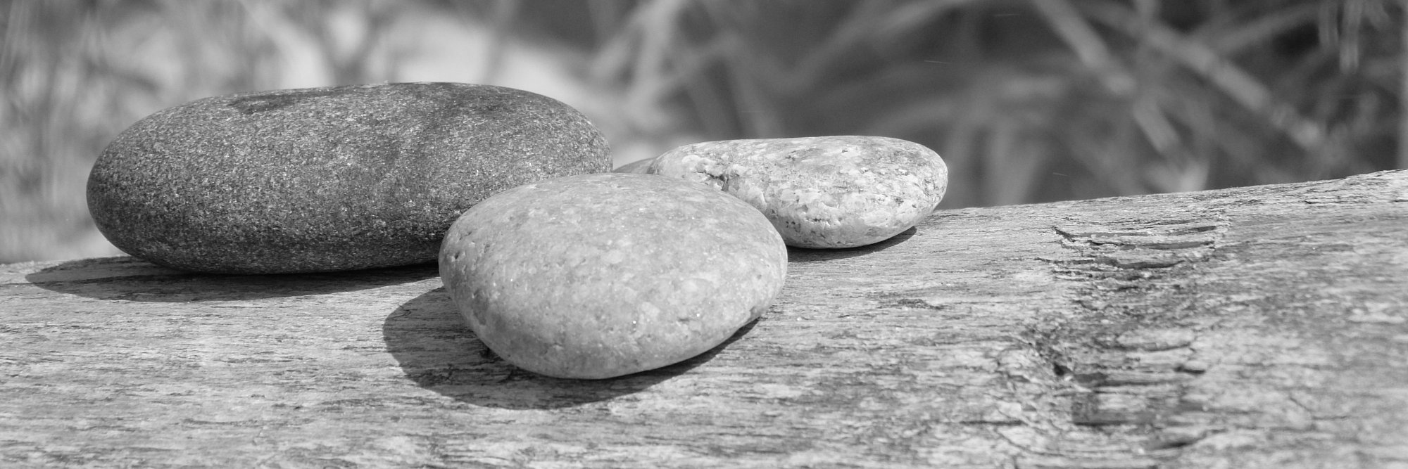 Baiba Kaskina banner