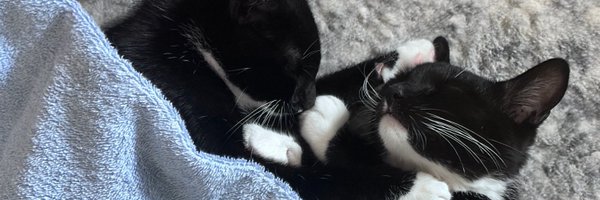 lullazart Profile Banner