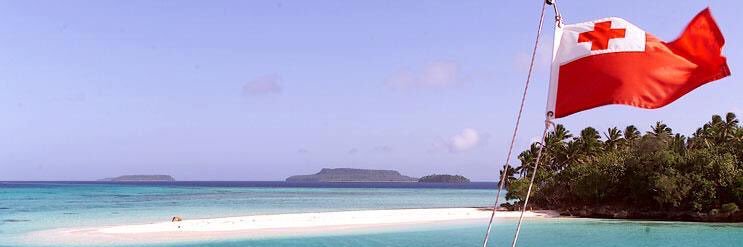 駐日トンガ王国大使館 Tonga Embassy Tokyo (TET) banner