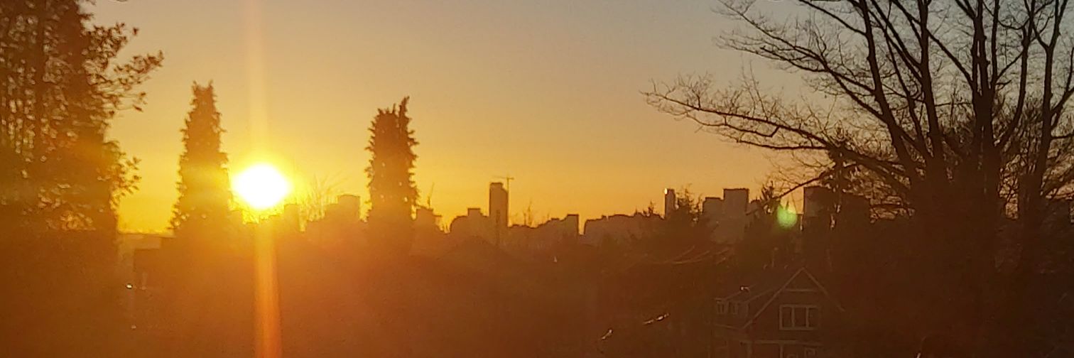 binfield_l's profile banner image