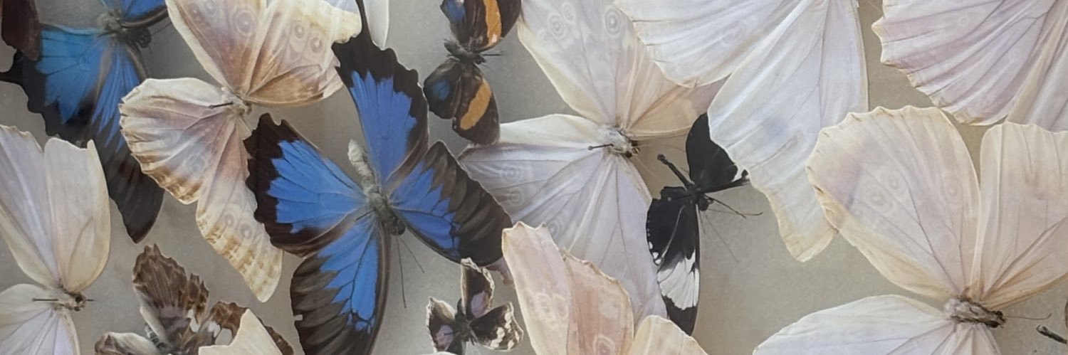 Anissa's banner