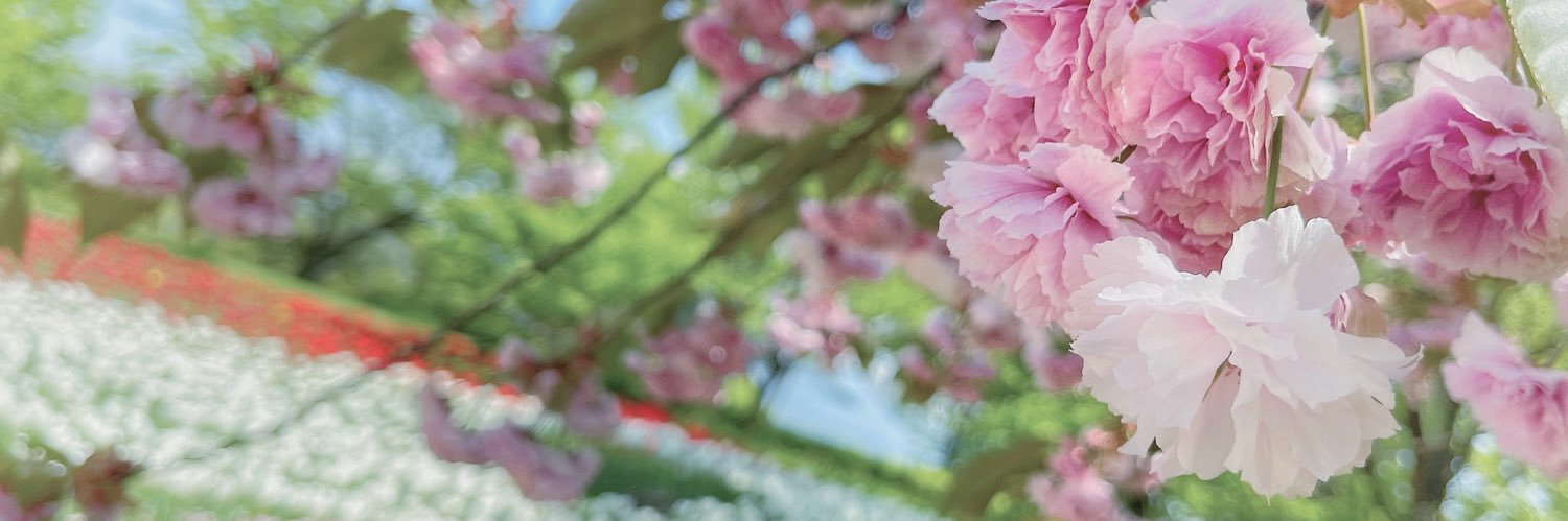 rsptrt's profile banner image