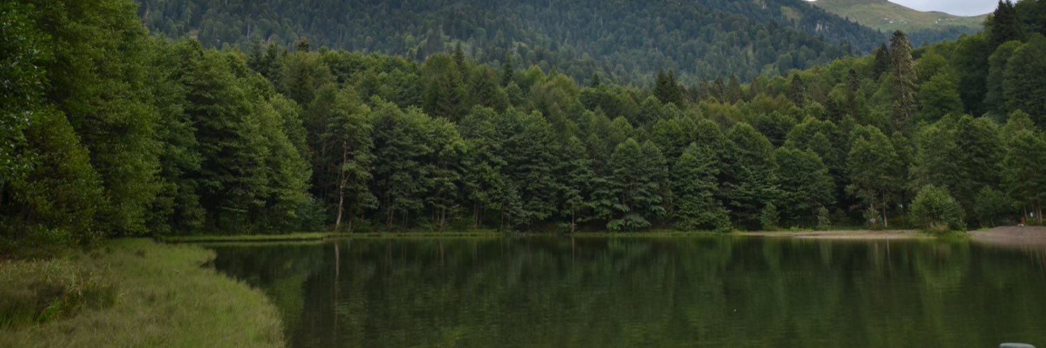 serserirocco's profile banner image