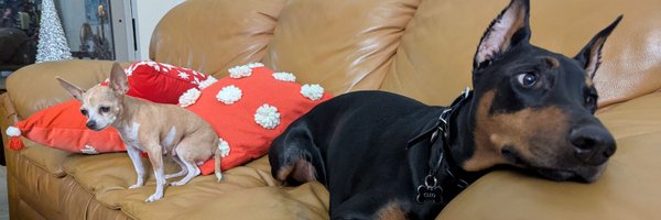 __codyjames Profile Banner