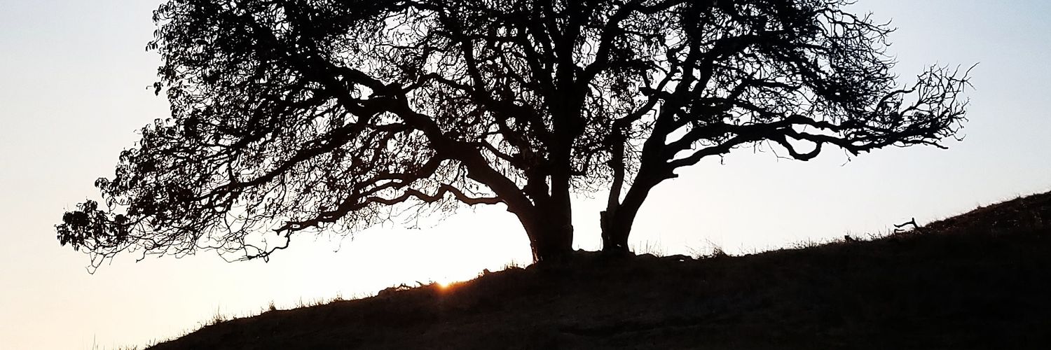 NancyGeorges1's profile banner image