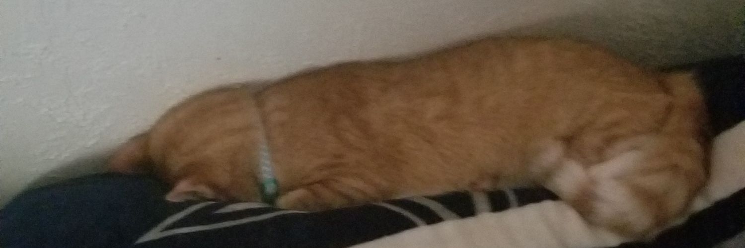 mediumwaffle50's profile banner image