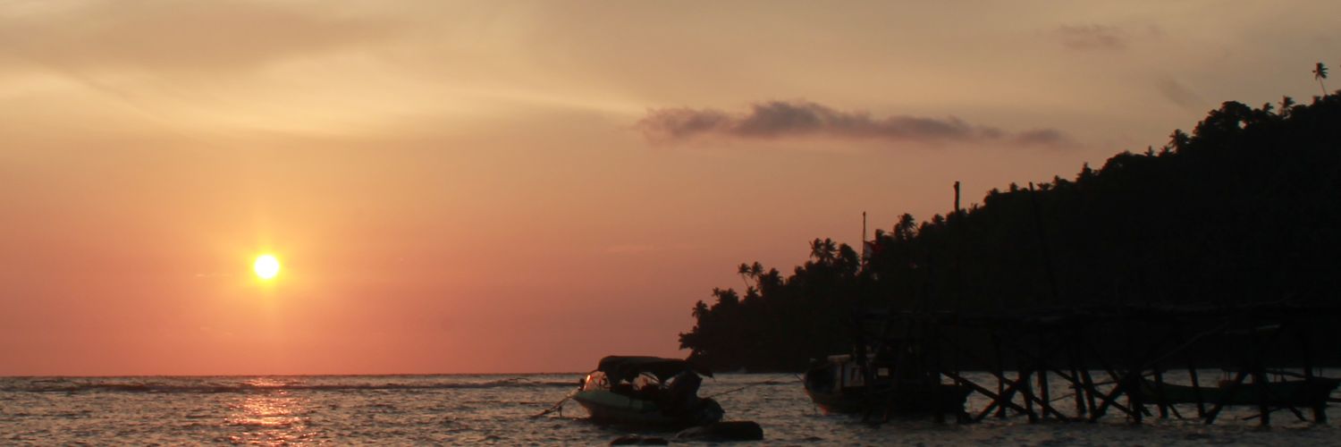 thebornean_'s profile banner image