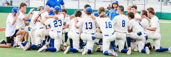 LVBearsBaseball Profile Banner