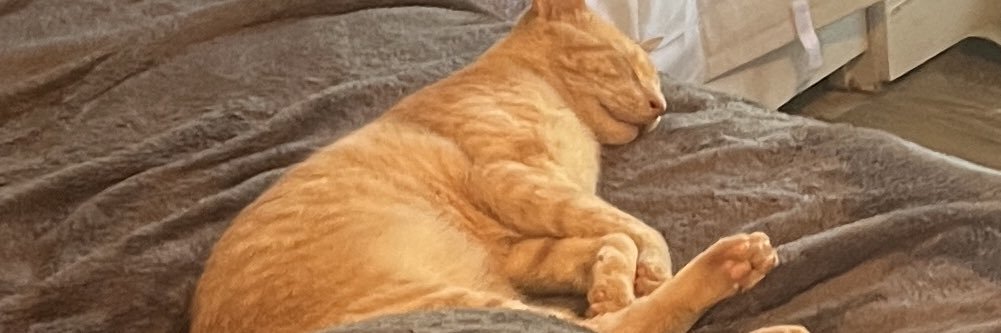 DarkPhantom341 banner