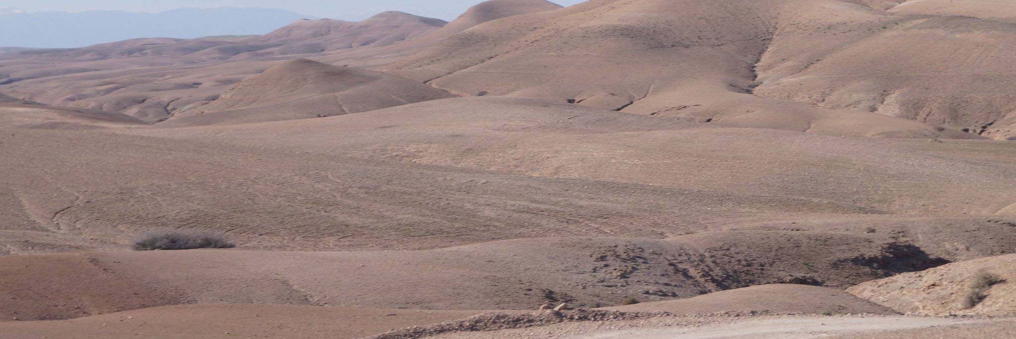 seonardode's profile banner image