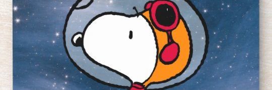 margomezcolp's profile banner image