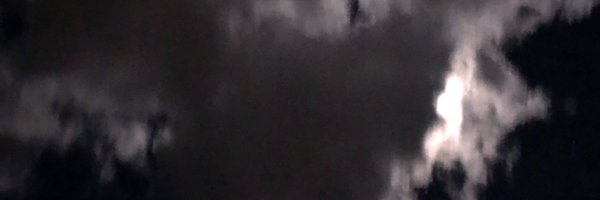 Lee09737503 Profile Banner