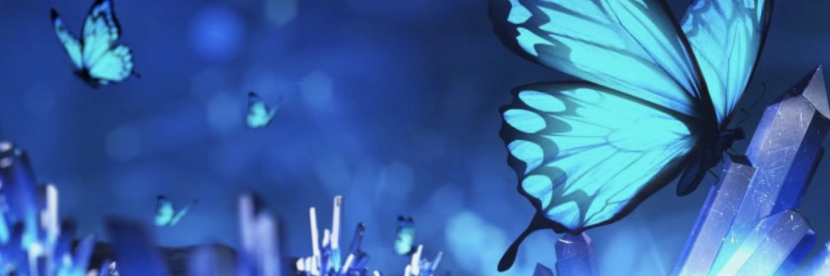 ニルギリ(Nilgiri) banner