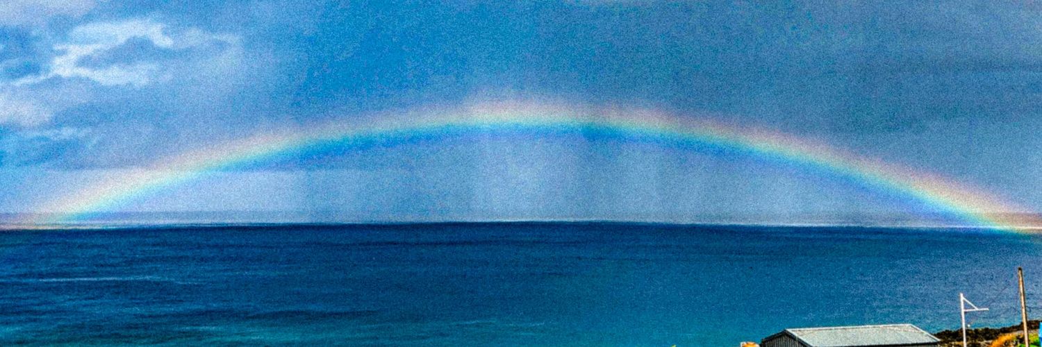 🌈💉砂糖國獸甲WiKi · 南國的雪橇犬 · 鋼鐵犬派ㄨㄓ同學 banner