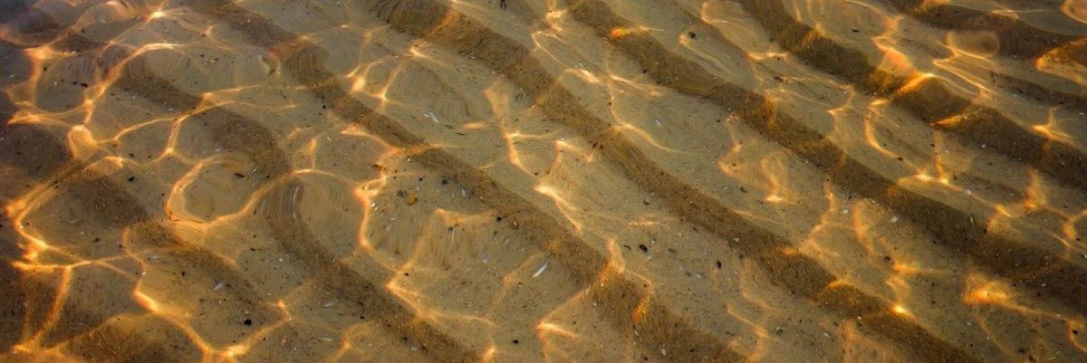 🦄루뚜🦄 banner