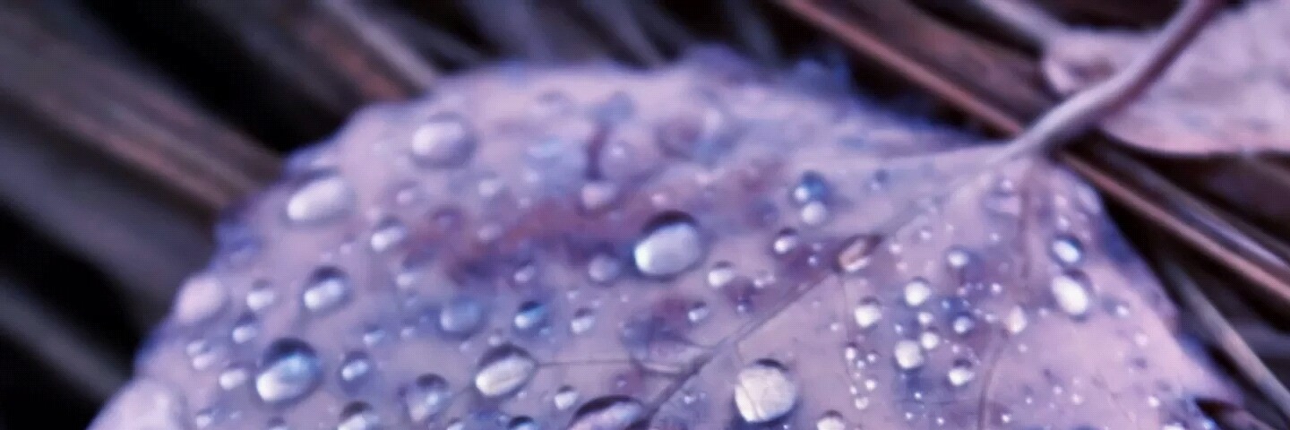 Tatafreshdee124's profile banner image