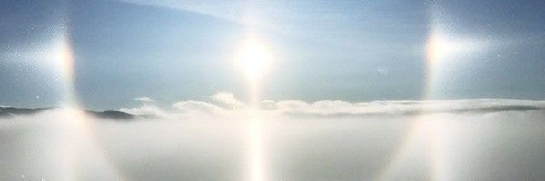 graceiris_ts Profile Banner