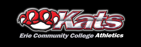 HarpRnic Profile Banner