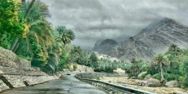 د.عماد الراشدي banner