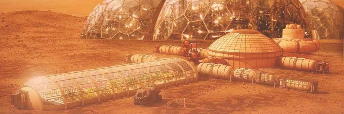 哈鼎昇🟤🟡 banner