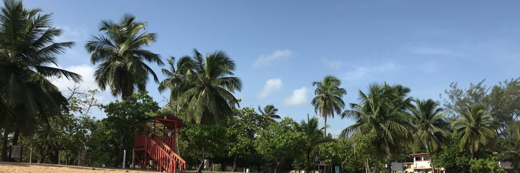 omar_dcm's profile banner image
