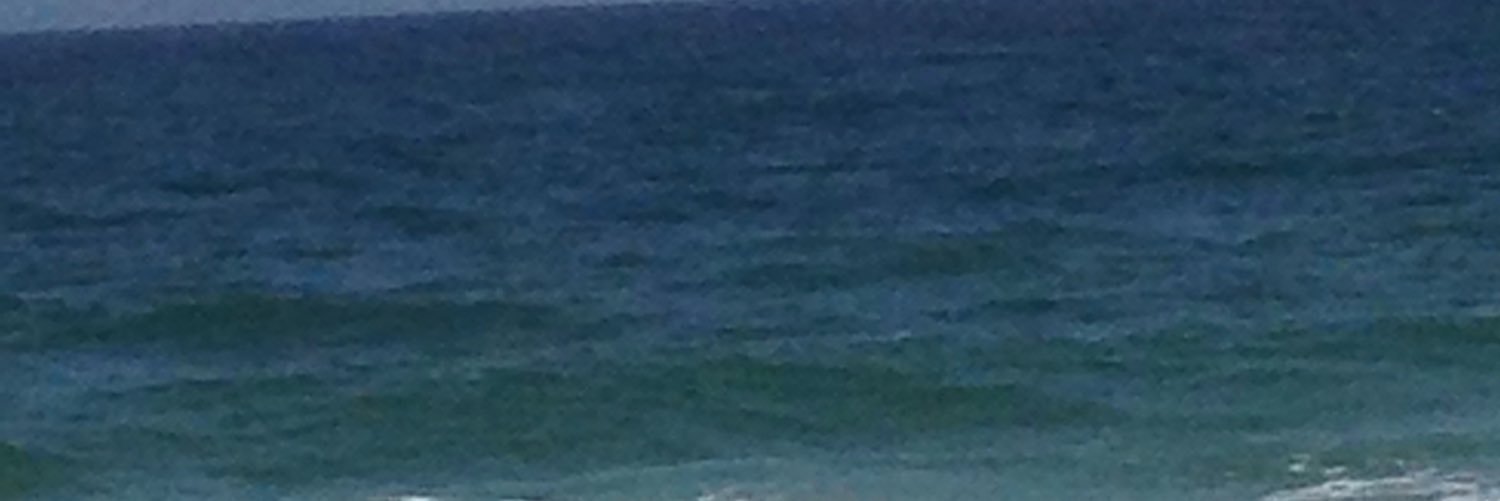 sirennadelmar's profile banner image