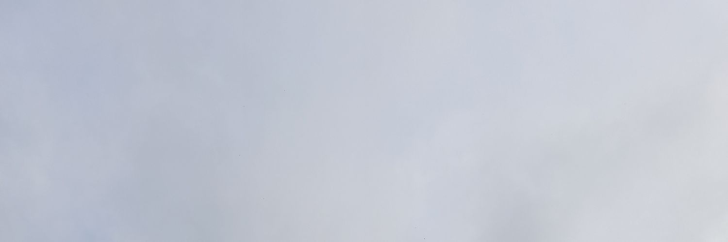 mademydoy's profile banner image