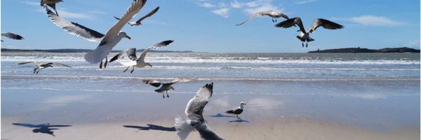 OKANA_GR Profile Banner