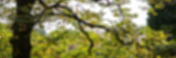 BillyDotWS Profile Banner