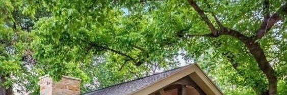 Caliche banner