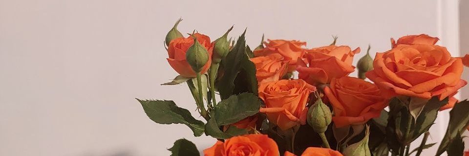 محدثه banner
